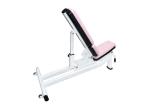 Lady Gym Fitness Equipment Pink Cushion Multi - Adjustable Bench