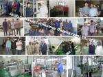 Professional 380V Nutritional Powder Machine Wheat Flakes Making Machine