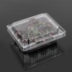 12.5cm Disposable Fruit Salad Containers