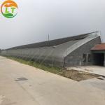 Hydroponic Greenhouse System for High Strength Solar Greenhouse and Vegetable