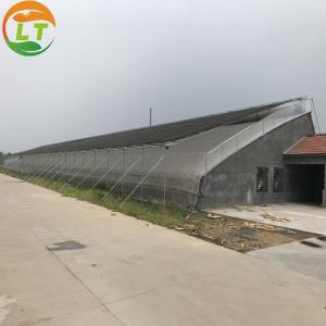 Quality Chinese Style Metal Frame Solar Prefab Tomato Greenhouse for Outdoors and Agriculture wholesale