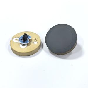Quality Endress Hauser Pressure Sensor Element For Pressure Level Transmitter wholesale