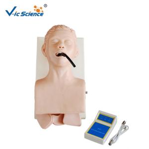 Quality Human Trachea Lntubation Model CPR Training Manikins In Medical Science wholesale
