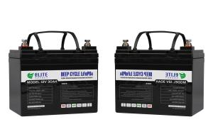 Quality 30Ah Portable Li Ion Battery wholesale