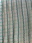Olive Harvest Agricultural Netting