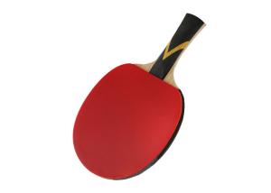 Quality Professional Ayous Table Tennis Bats Sticky Rubber Perfect For All Round Player wholesale