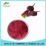 100% Water Soluble Natural Pigment Red Beet Juice Powder