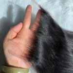 12A HD Lace Closure 6x6 Remy Human Hair Swiss Straight Indian Hair Oem