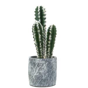 Quality 18cm All Season Artificial Potted Floor Plants Mini Bonsai Succulent Countertop Ornaments wholesale