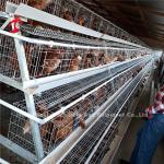 4 Tiers Layer Chicken Battery Cages Automatic In Uganda Ada