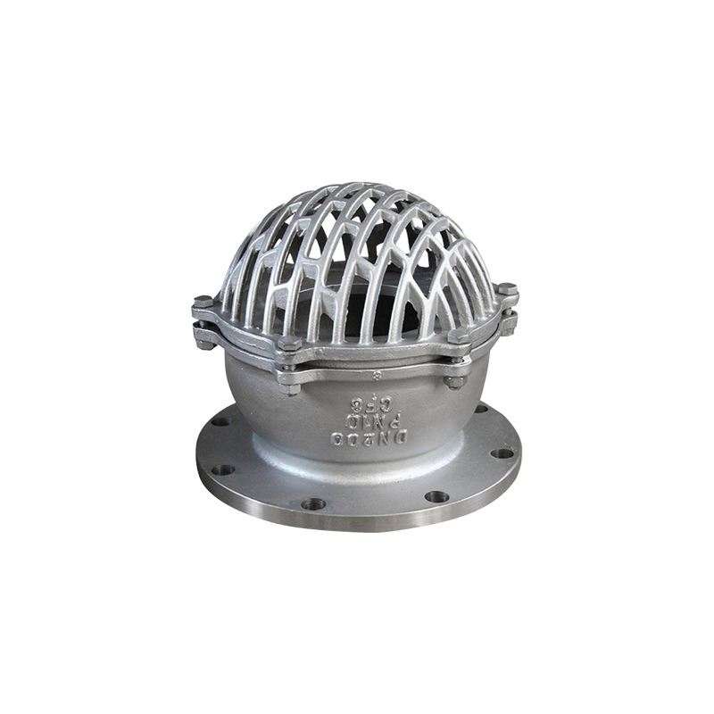 Stainless Steel 304/316 Water Pump Pn10 Flanged Foot Valve