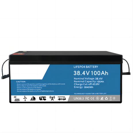 Cheap 0.2C Discharging LifeP04 Lithium Battery 100ah Multifunctional For Data Center Backup for sale