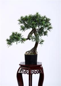 Quality High Density Bonsai Pine Tree Silk Real Touch Wonderful Decoration Artisan Detailed wholesale