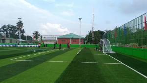 Quality Non-infill Grass Artificial Football Pitches For School wholesale