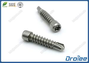 Quality Stainless Steel 18-8 Cheese Head Torx Drive Self Drilling Tek Screws wholesale