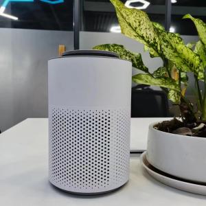 Quality 10M2 Low Noise Clean Air Home Air Purifiers 6W Plasma Hepa Home Air Filter ≤55dB wholesale