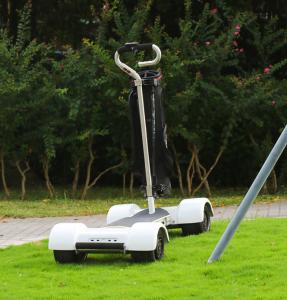 Quality 4 Wheel Electric Chariot Scooter 2000W Golf Model 60V Skateboard 10.5 Inch Tire wholesale