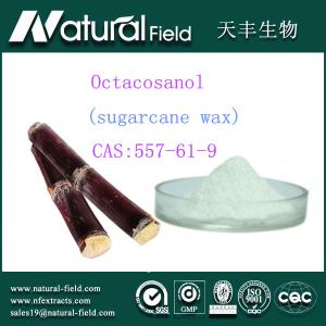 Quality antifatigue octacosanol sugarcane wax extract 90% wholesale