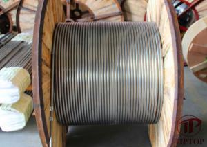 Quality ISO Duplex 2507 ASTM Stainless Steel Capillary Tubes wholesale