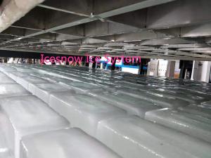 Quality Automatic Industrial Ice Block Freezing Machine Maker 10 Ton 50kg wholesale