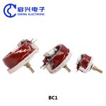 BC1 Porcelain Plate Adjustable Resistor 500W 5R 5 Ohm Dual Couplet