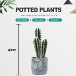 18cm All Season Artificial Potted Floor Plants Mini Bonsai Succulent Countertop