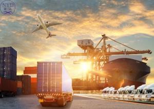 Quality Safe Ocean Freight Forwarder China To USA DDU DDP international shipping wholesale