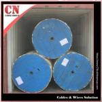 AAC Conductor China Manufacturer