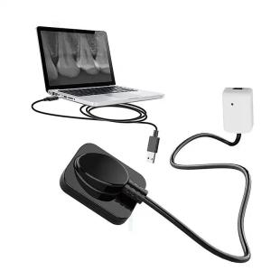Quality Dental X-Ray Digital Sensor For Dental Implant And Endodontic Treatment wholesale
