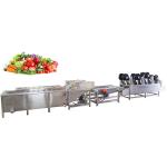 China Good hot sale kitchen multifunction multifunctional shredder vegetable