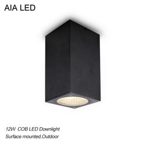 Quality IP65 black Square waterproof 12W CreeCOB LED downlight/Outdoor LED light for toliet wholesale