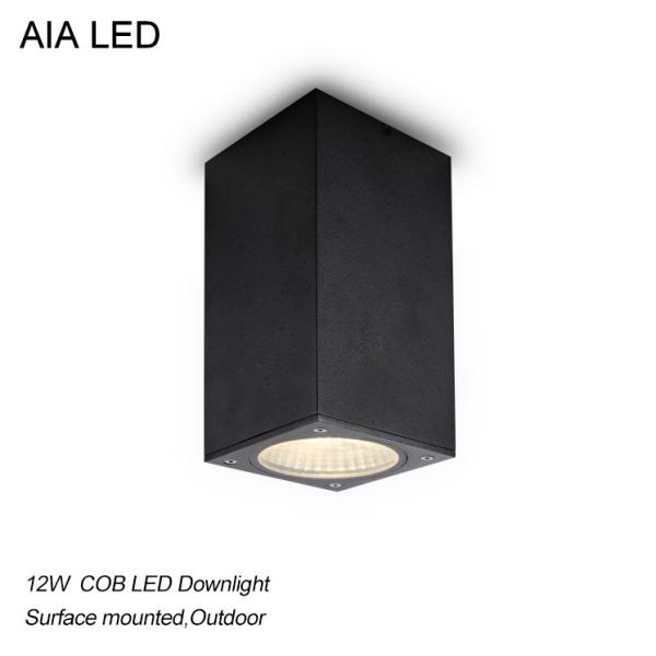 IP65 black Square waterproof 12W CreeCOB LED downlight/Outdoor LED light for