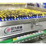 Semi Vibration Solid Filling Machine