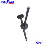 6D17 Intake Valve Exhaust Valve