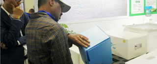 PP Corrugated plastic box vegetable fruit box