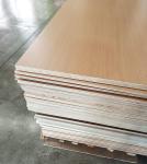 Birch plywood 15mm 16mm 18mm plywood 3mm modern melamine paper