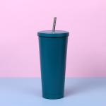 Insulated Tumbler With Lid And Straw , Stainless Steel Vacuum Insulated Tumbler