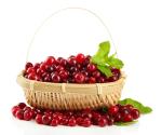Wicker fruit basket willow bread basket water cleaning round shape customized