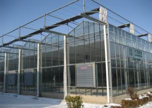 Quality Customized Size Clear Polycarbonate Greenhouse Durable Good Wind Resistance wholesale