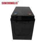 Portable LiFePO4 Lithium Battery Fast Charging 12.8V 200Ah Lifepo4 Battery