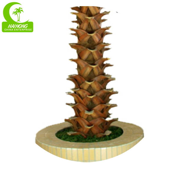 New washington palm tree