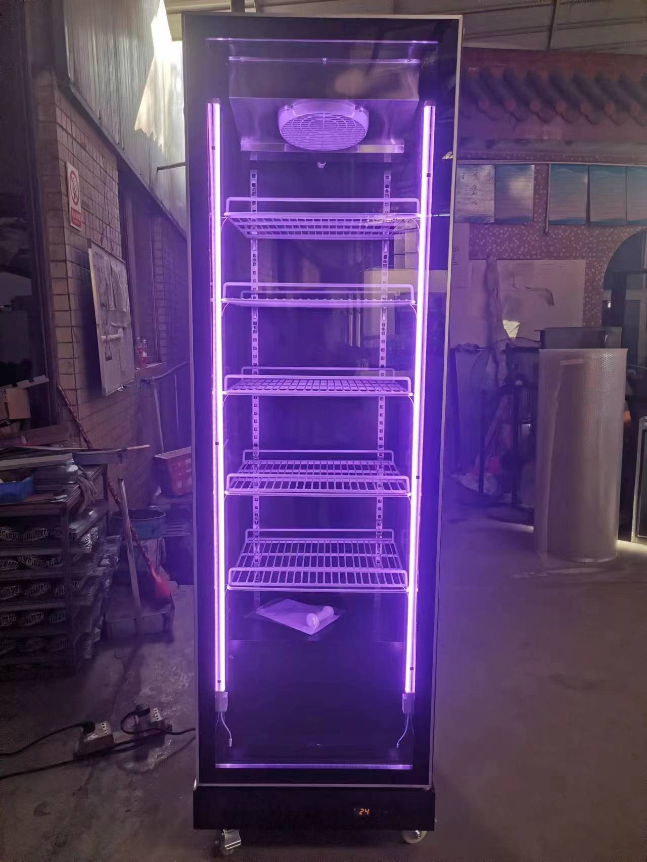 R290 Single Door Upright Fridge Commercial Beverage Display Refrigerator