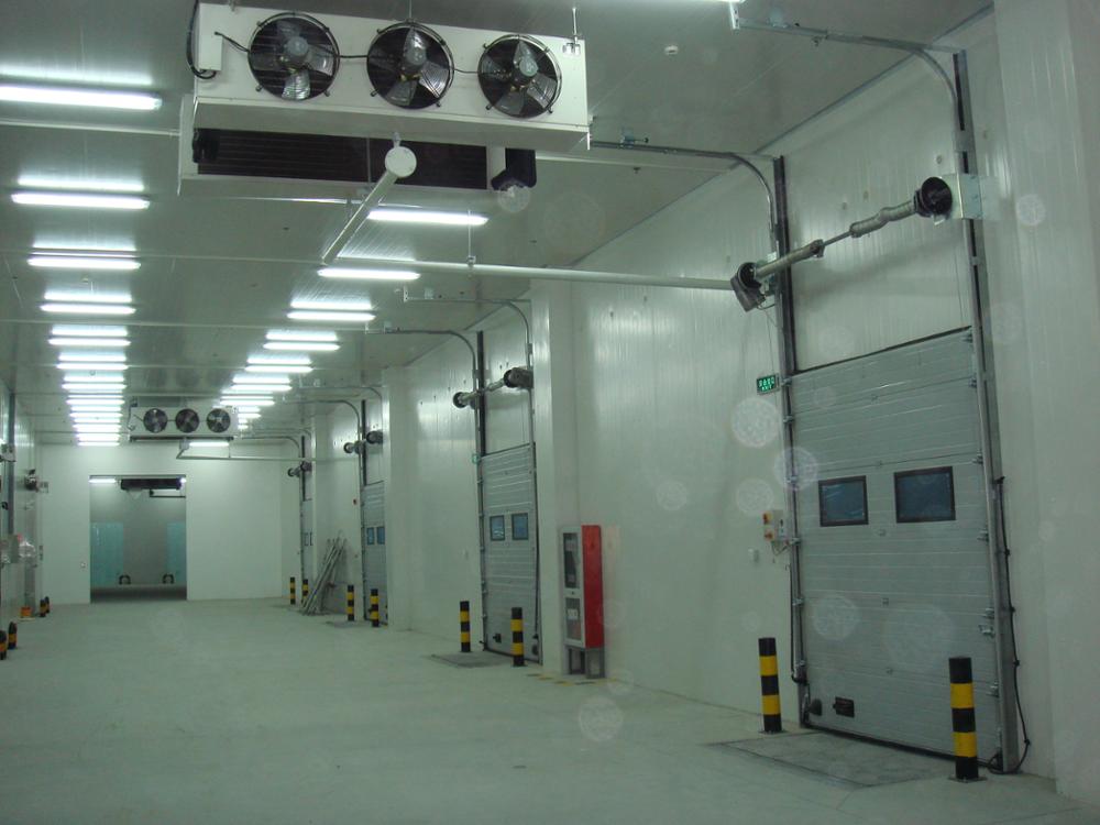 Advanced cold room cold storage for onion