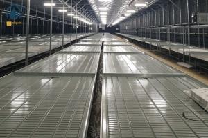 Quality Vegetable Ebb And Flow Rolling Benches Movable Nursery Tray Hydroponics Flood Table wholesale