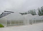 Hydroponic Planting Agricultural Polycarbonate Greenhouse