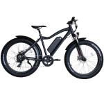 48V 500W 750W Electric Fat Tire Bike 26x4 Fat Enduro Electric Bicycle With LCD