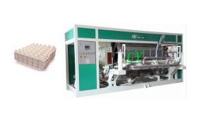 Quality Recycled Paper Pulp Molding Machinery Rotary 6000pcs/hr wholesale