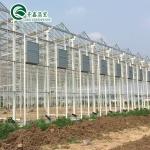 Large Glass Covered Garden Greenhouses for Versatile Planting Options