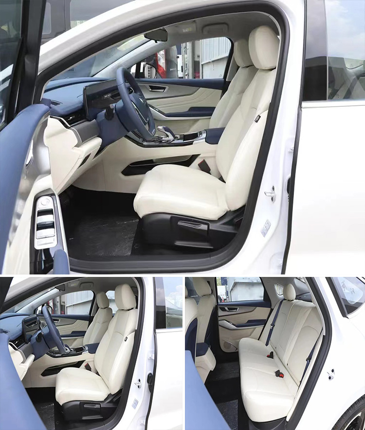 EVEASY 2024 Electric Cars Energy Vehicles Meeting European and American Standards