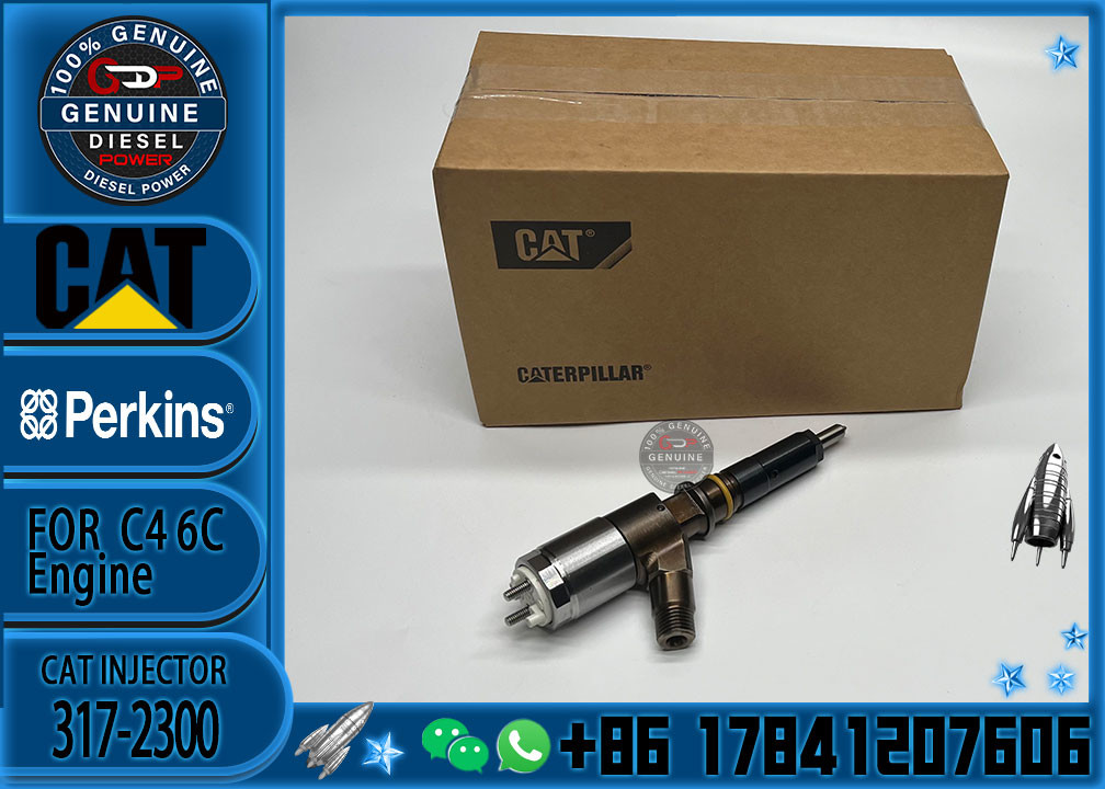 Cat 320d Diesel Inyector Common Rail Fuel Injector 3172300 317-2300 2645A717 for CATERPILLAR C6.4 C6.6 Excavator